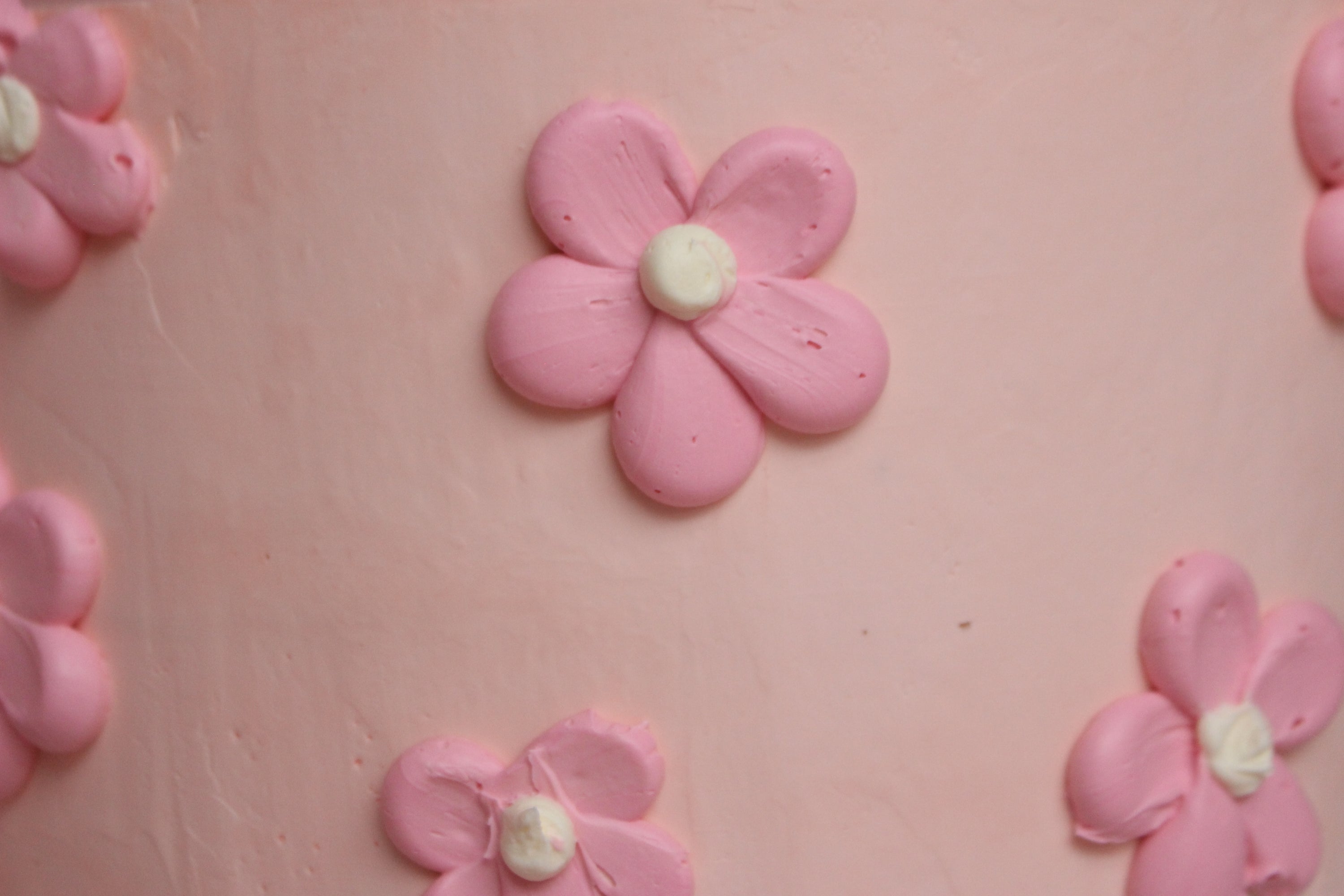 Daisy Cake